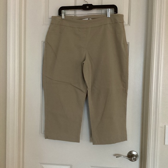 Kim Rogers Tan Capris - Picture 1 of 13